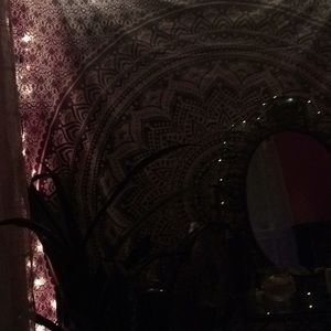 Meet your Posher, Kat